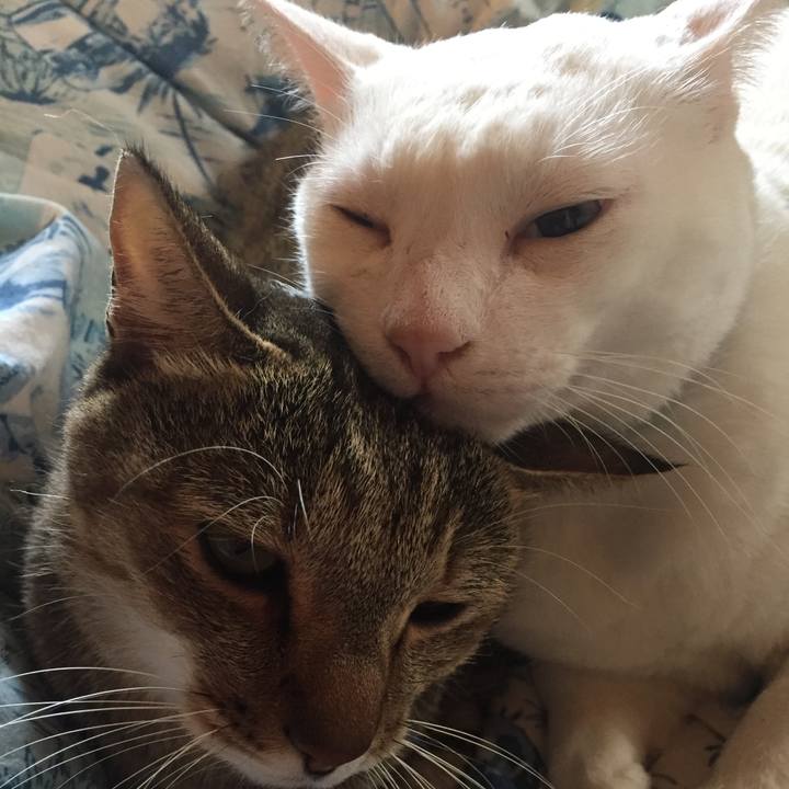 Abd9b710 18ca 47f0 9f89 cd5d8dabd8b6