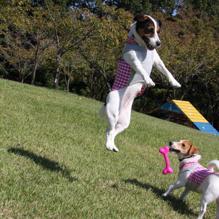 Abda05ab 7872 452d 875c 56c3bf0c88ab