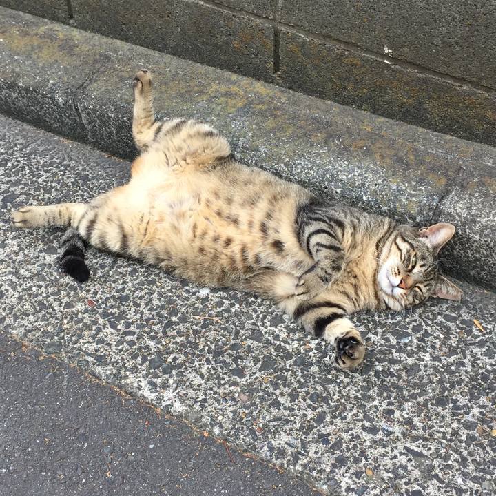 Abdabac5 9db6 4eea 81b1 f9a42f3f8f10