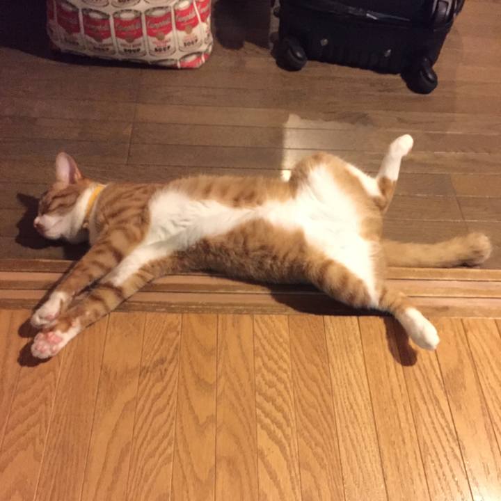 Abdac3d9 3553 4bd2 84c3 a0ed04d41838