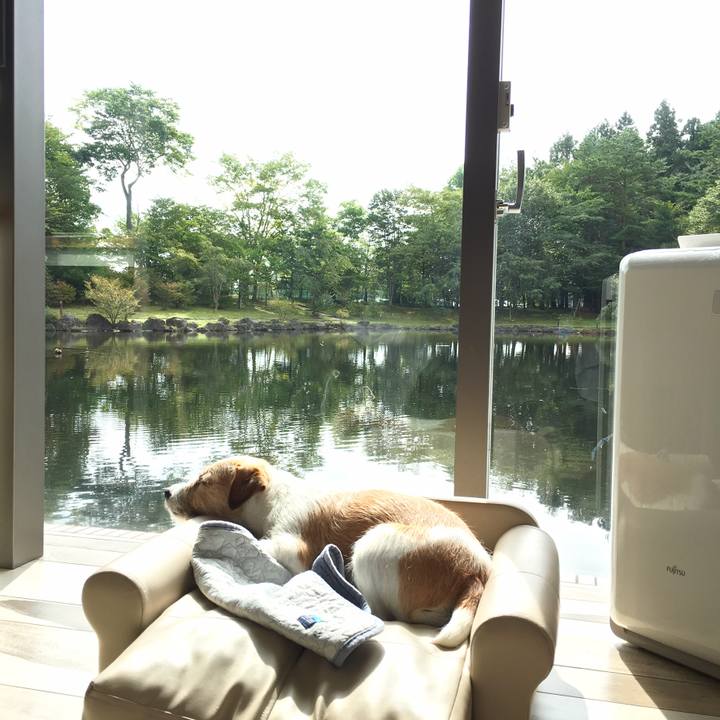 Abdb1b36 a58b 4ad4 bc3a 1c8e64e2c549