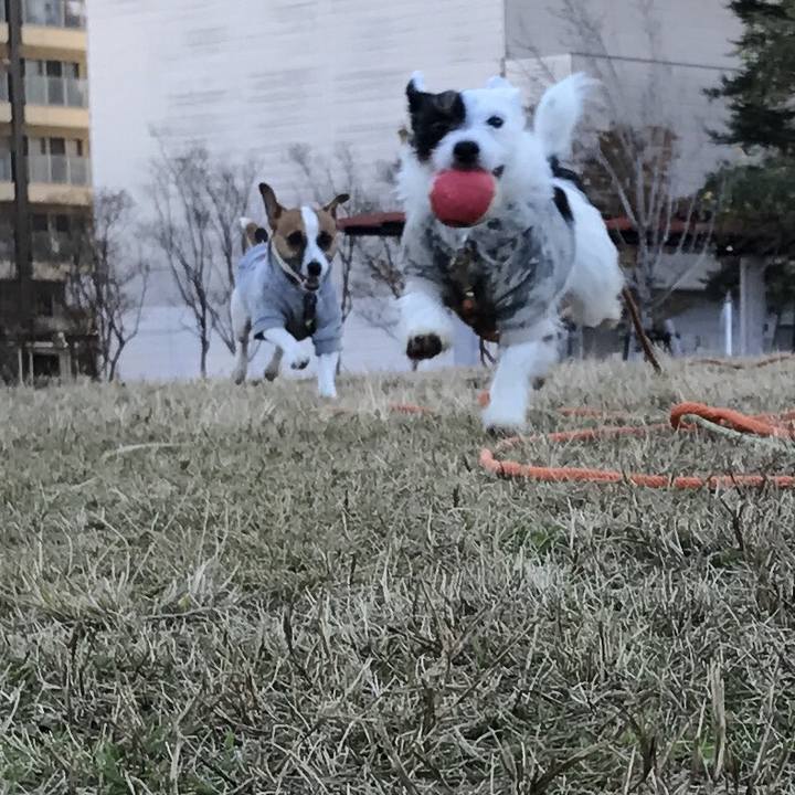 Abdb367f 56c4 403b ad62 8a40641a8239