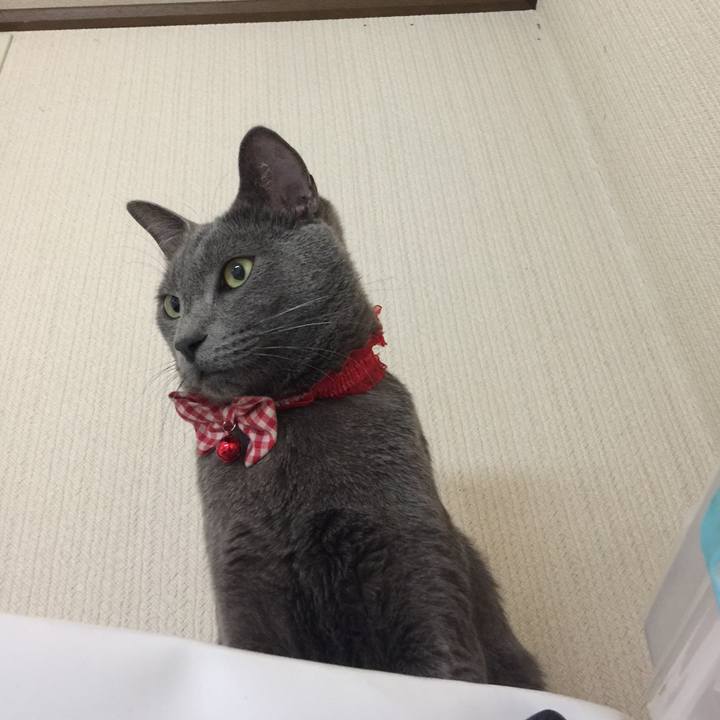 Abdb6fee 9061 4089 a881 22ebeb47ae87