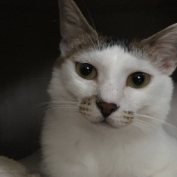 Abdc3613 3b21 4485 b504 9987bb042b19