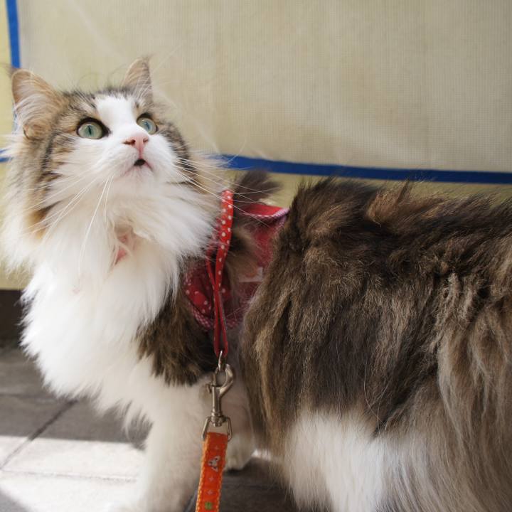 Abdc7877 524e 43f1 b5b0 a9310aad967f