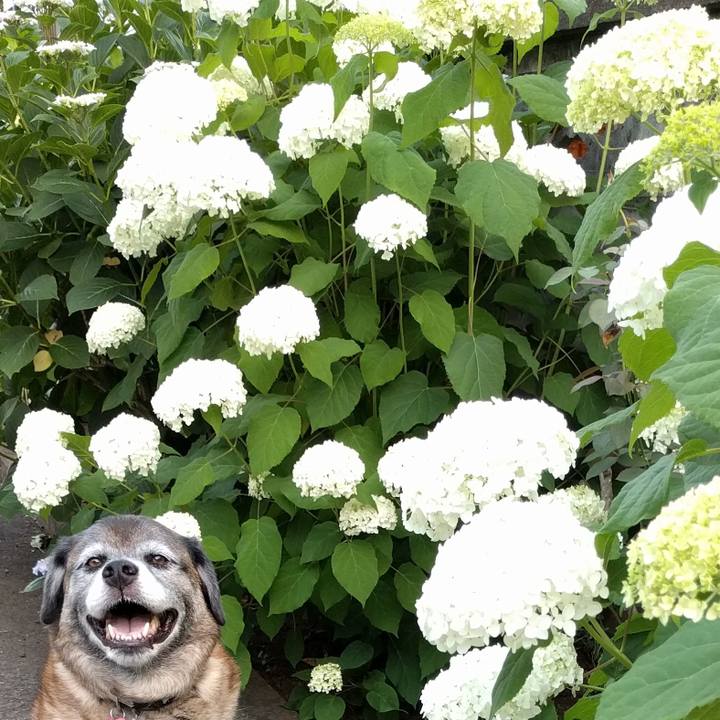 Abdcf4ba f0a1 4702 8795 671f036d6317