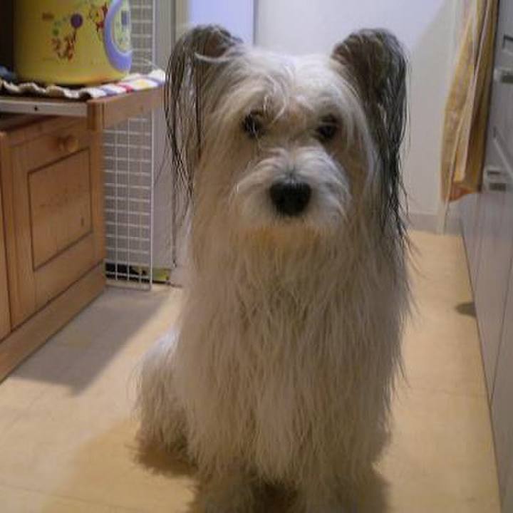 Abdcfc3c 35cb 4c65 9d90 d52fb65e0bcd