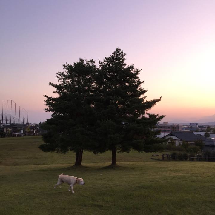 Abdd0b38 e846 4e93 9268 3b472610c917