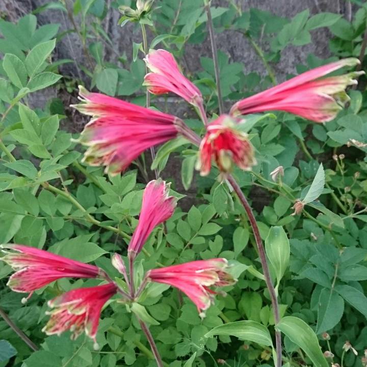 Abdd985e 5693 46d4 af8d 1d601e6dd4ae