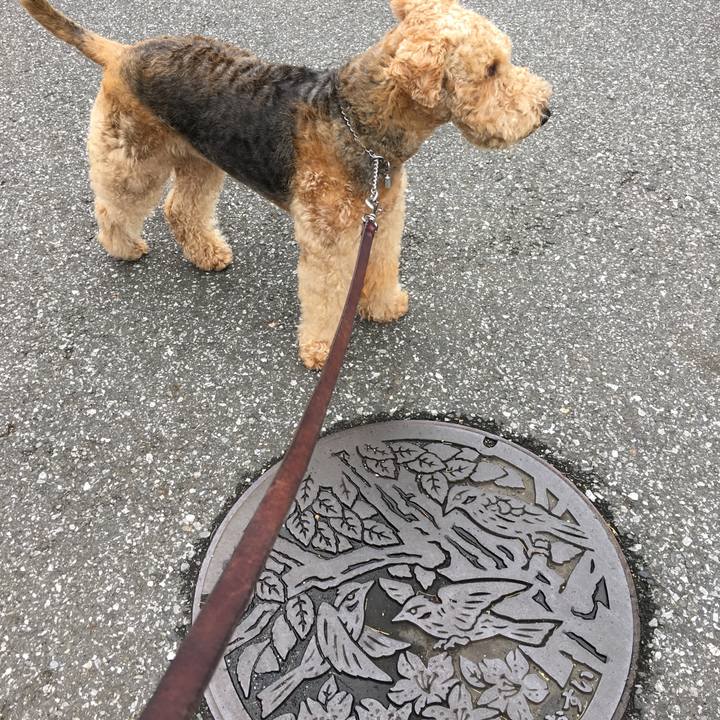 Abddc164 9c72 4ac2 8dec 5e46d80b3c97