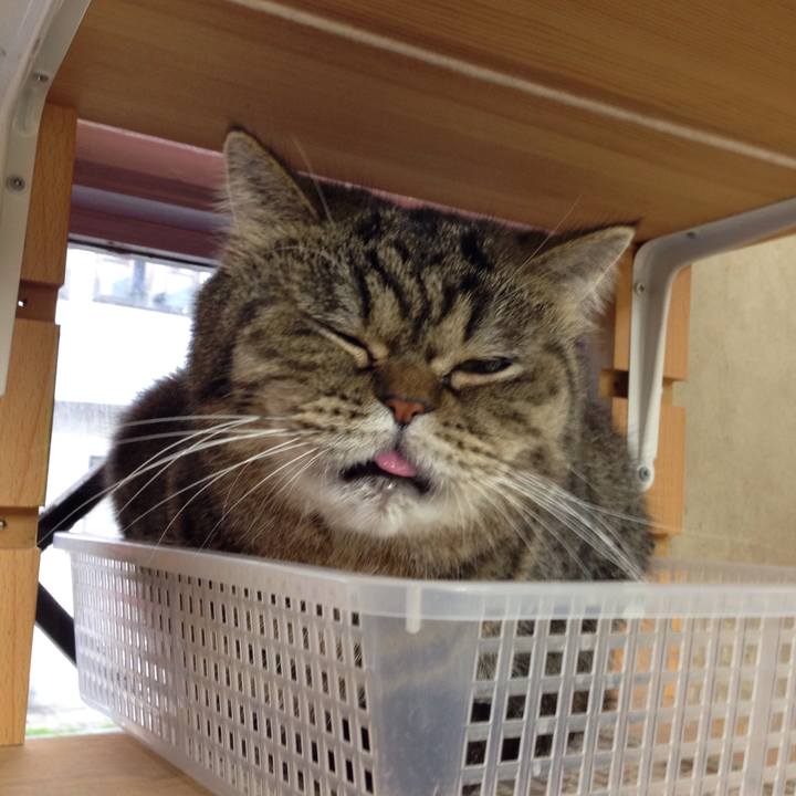 Abde053a c039 4fb0 8066 8373b2dbe289