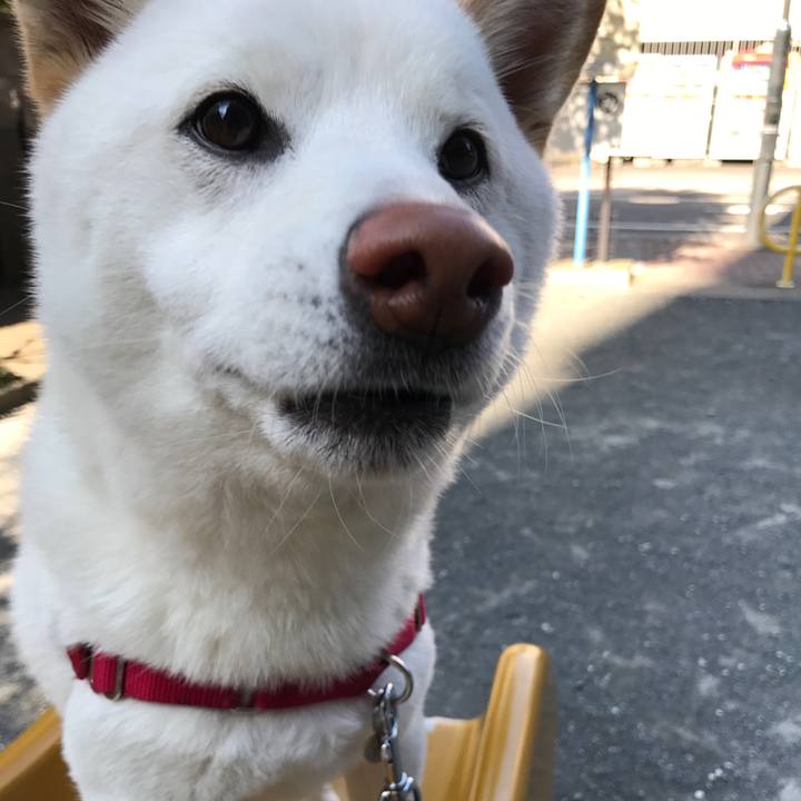 Abde8810 c378 421e 962f deb46de8e6e6