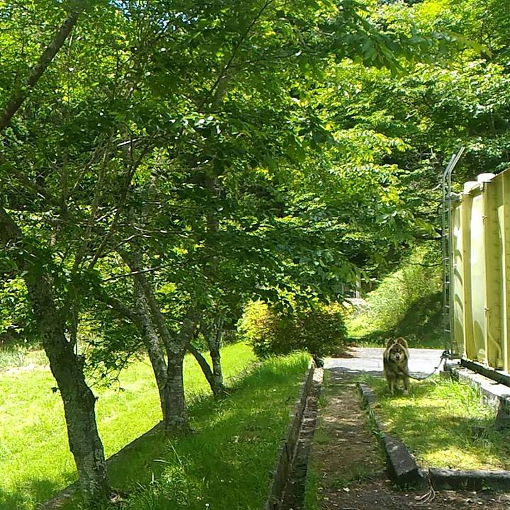 Abdfbdc0 614a 4249 9284 f8468165c287