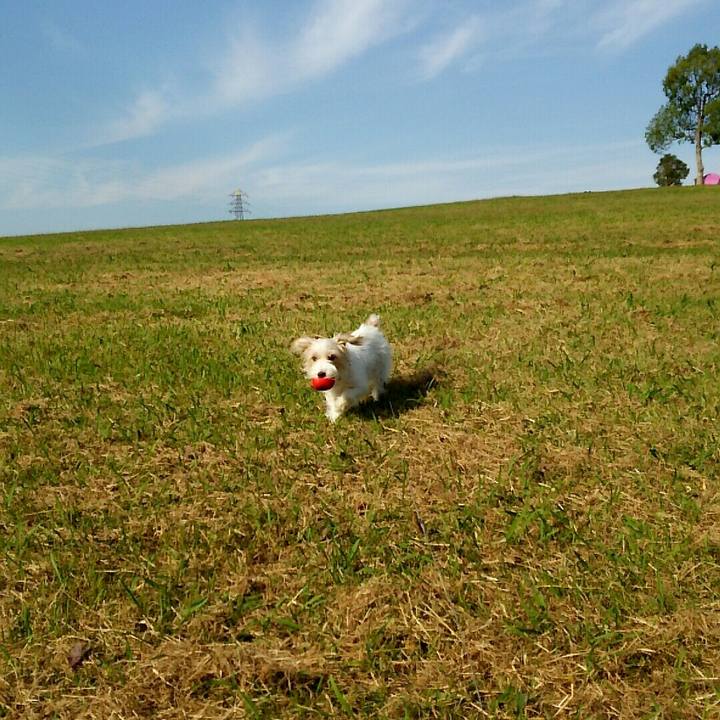 Abdff9fc bb00 4f1f ad72 6d22ac63a762