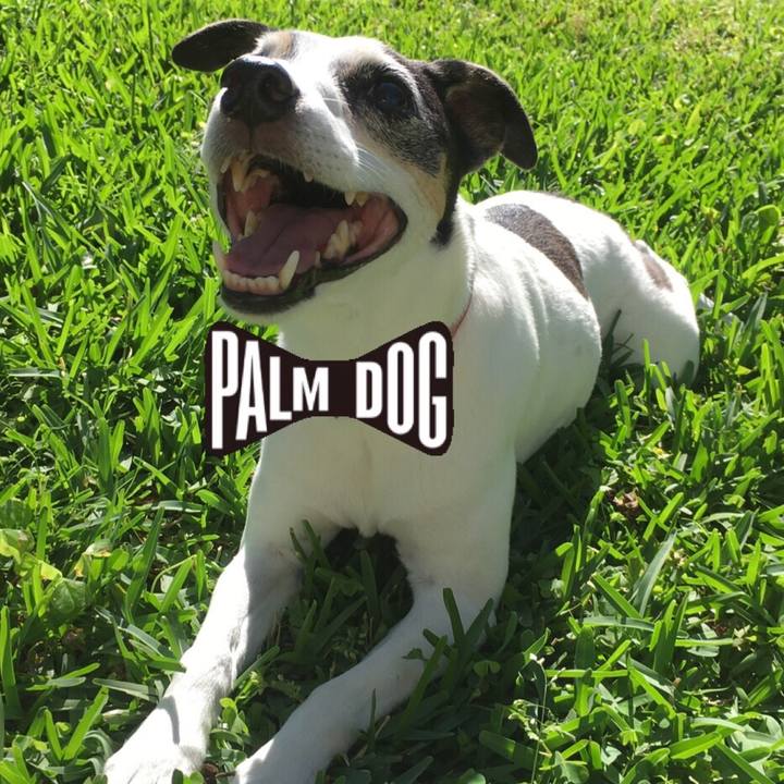 Abe0babe f9ae 4e85 8c36 8e6b6b4236e0