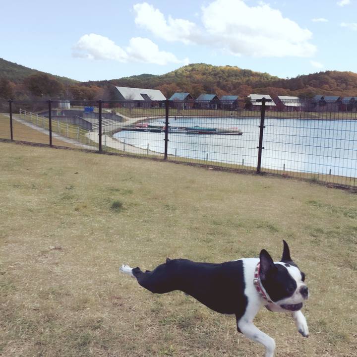 Abe13cf4 0e5e 4ea7 9a05 19efa70b0473