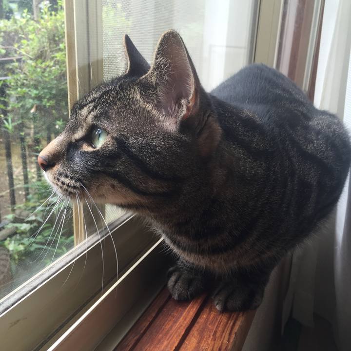 Abe202a9 902d 42e0 a1d9 0a2ff22ae1b6