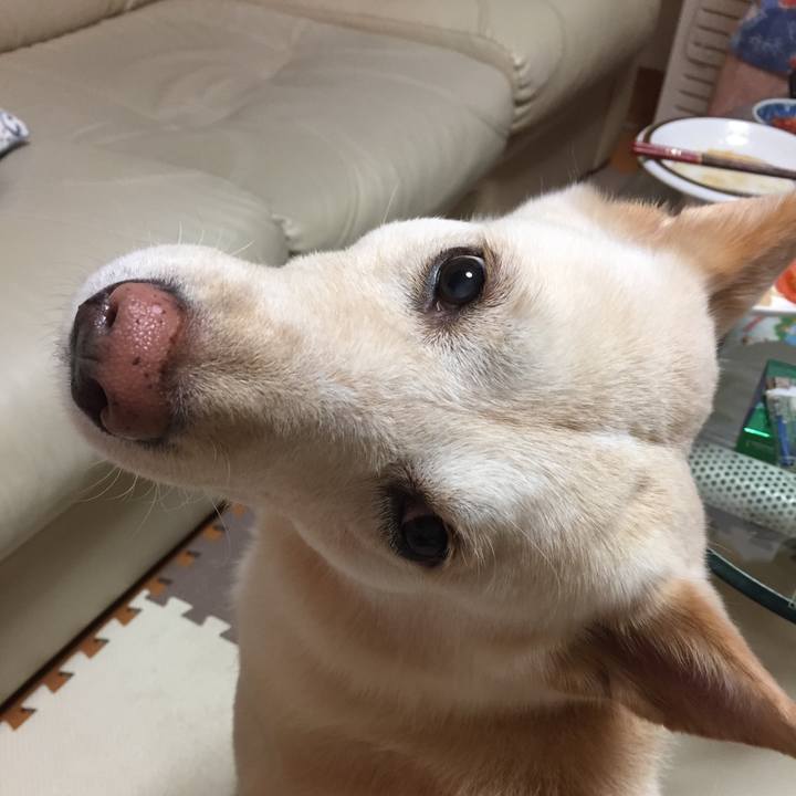 Abe21737 42f3 414c aa46 24b4ad402e59