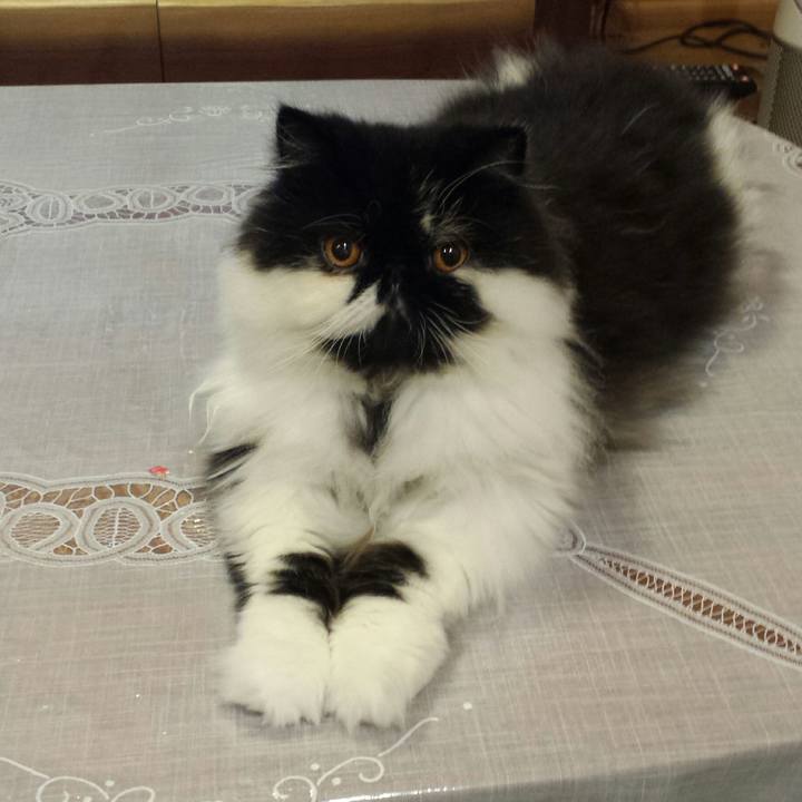 Abe23306 4544 46a4 83fe 22de49a10b5e