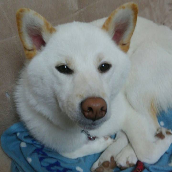 Abe2547e 206a 49c2 b5ca 4ff7883405a9