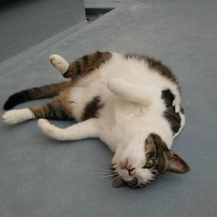 Abe2c6f6 4bb2 4609 b99f ea318828027a