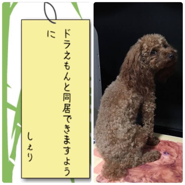 Abe2d036 fe6a 4a8f af6c df90cbb3c606