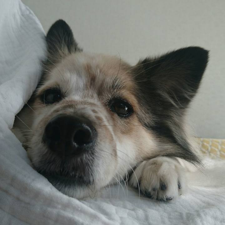 Abe302fb 4a9d 43fd 9f63 1d56882878e1