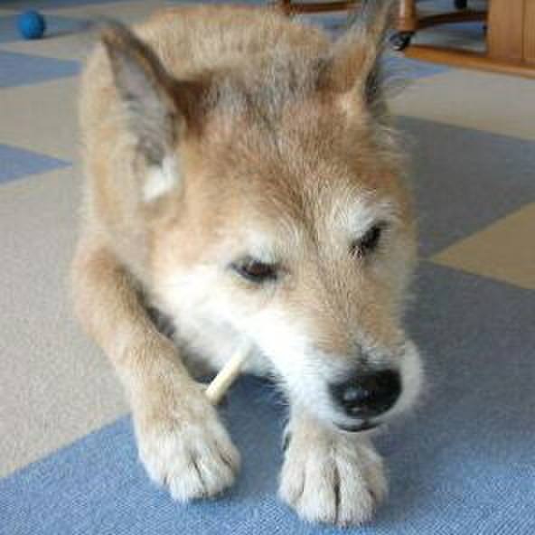 Abe30cbd 3d0a 4de9 b505 e0d255671a41