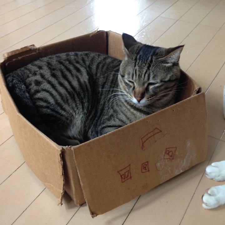 Abe31b3d 34bd 4b06 add6 d058ee5587c7