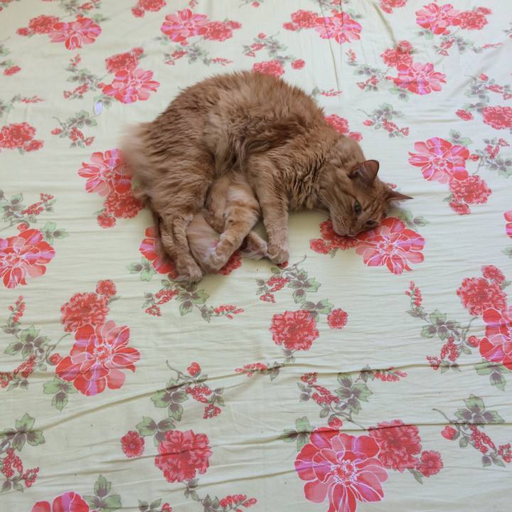 Abe35503 ed53 484f 91ca c1a9530d8278