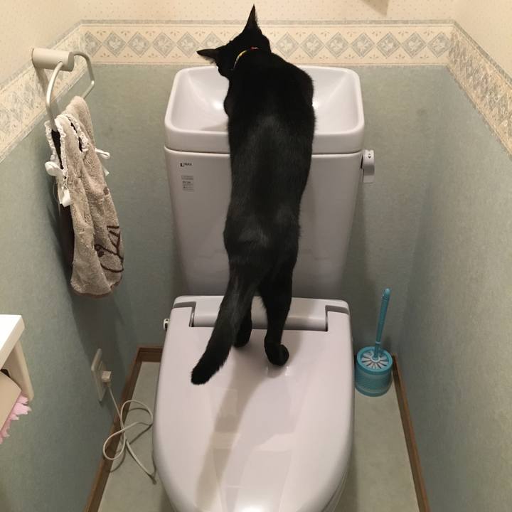 Abe37ccb 988e 48ea a848 126d8edda30e