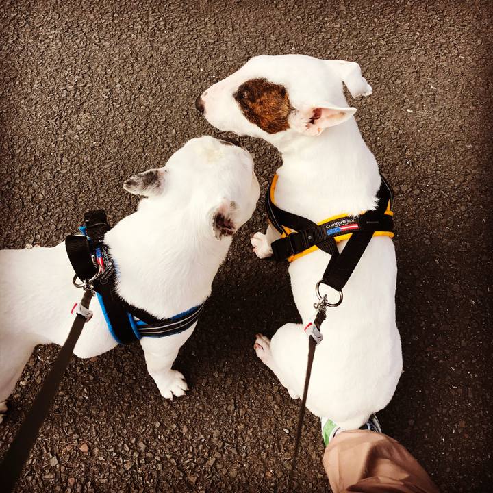 Abe47e7d 6b8b 4461 9a09 eb8c96bb8977