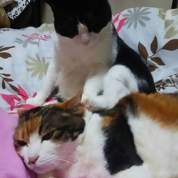 Abe4d414 f2d8 4067 ba02 23e73659d2ef