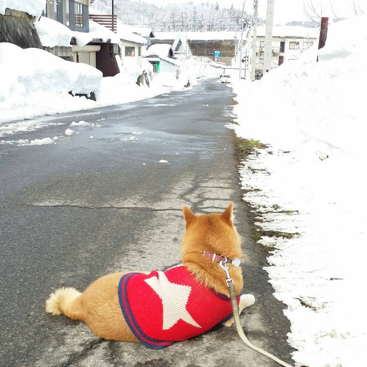 Abe5a2b7 d961 40bf a17a aea0ab6b74e0