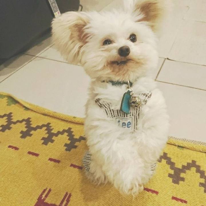 Abe64bd0 597f 472a 95aa 47e9aa581fa1