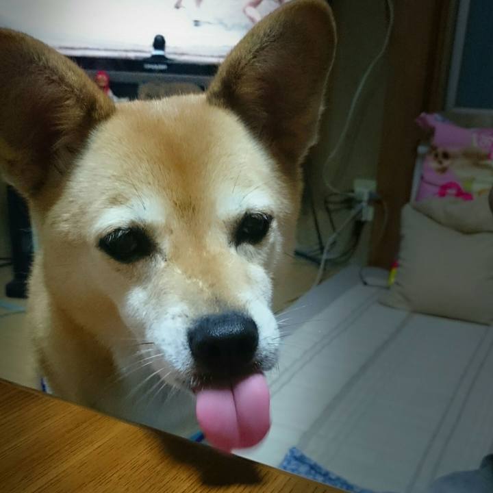 Abe66c6d 8072 455c be50 d2901585df23