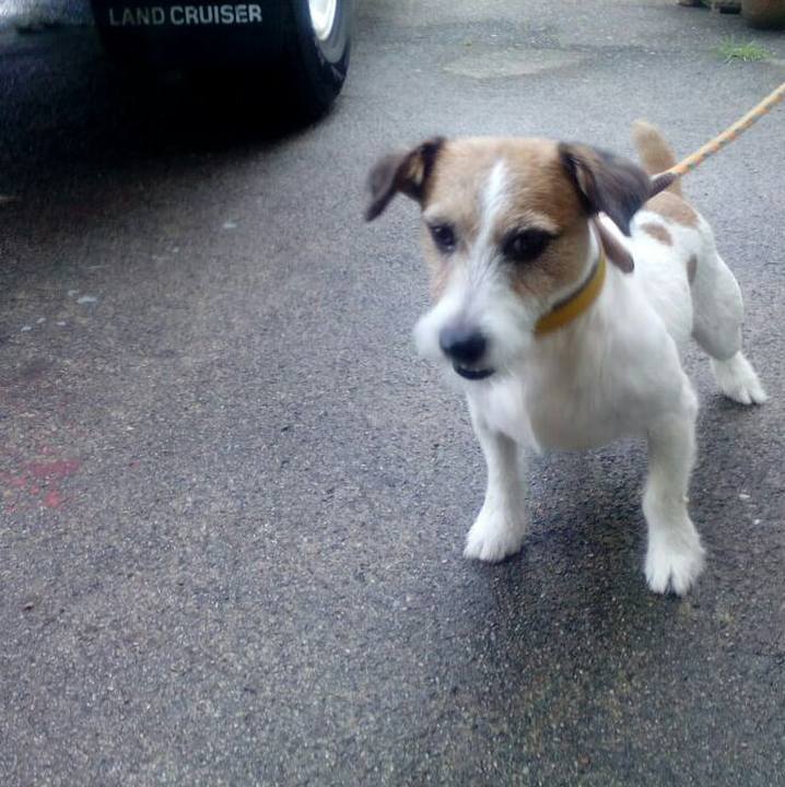 Abe6ee4b e19e 4925 a035 fdc06e4b1fde