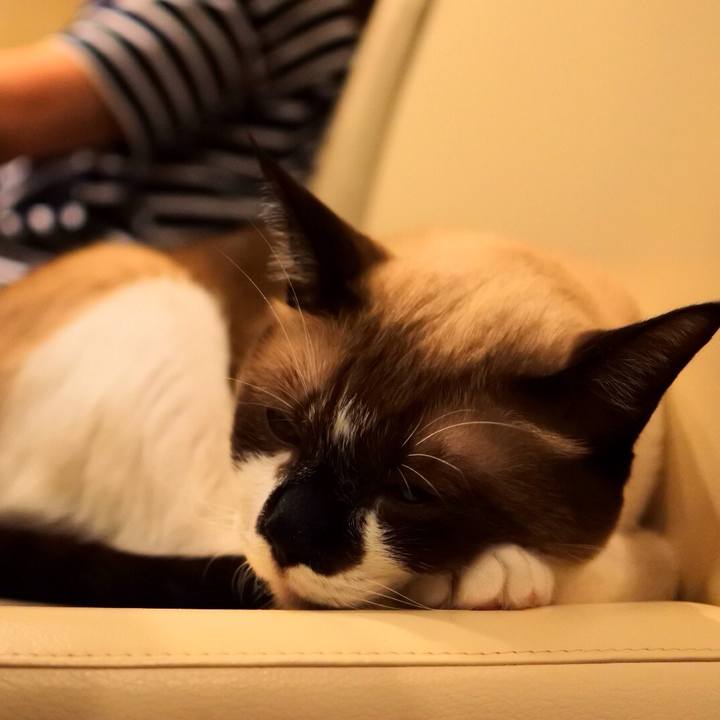 Abe7f849 f66c 40b0 a650 672b2cfd0d9a