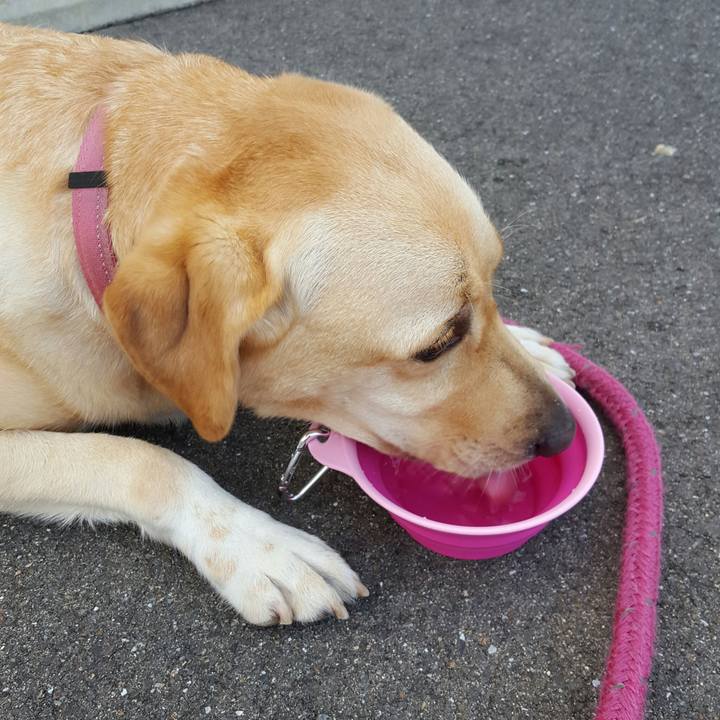 Abe835c5 c612 435c 903f a87bf699d7fd