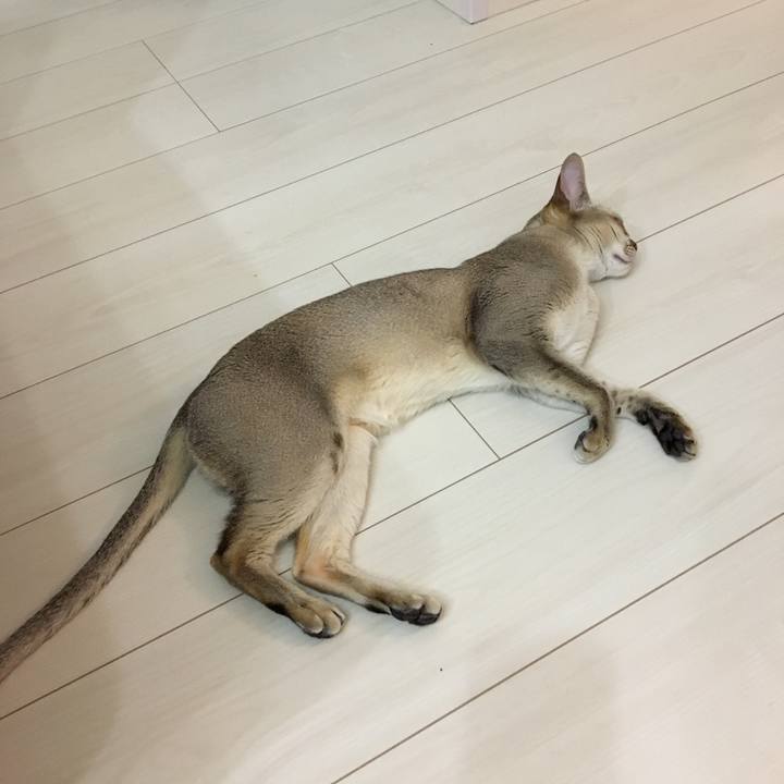 Abe8d340 9512 4c4a 8011 b06866716b14