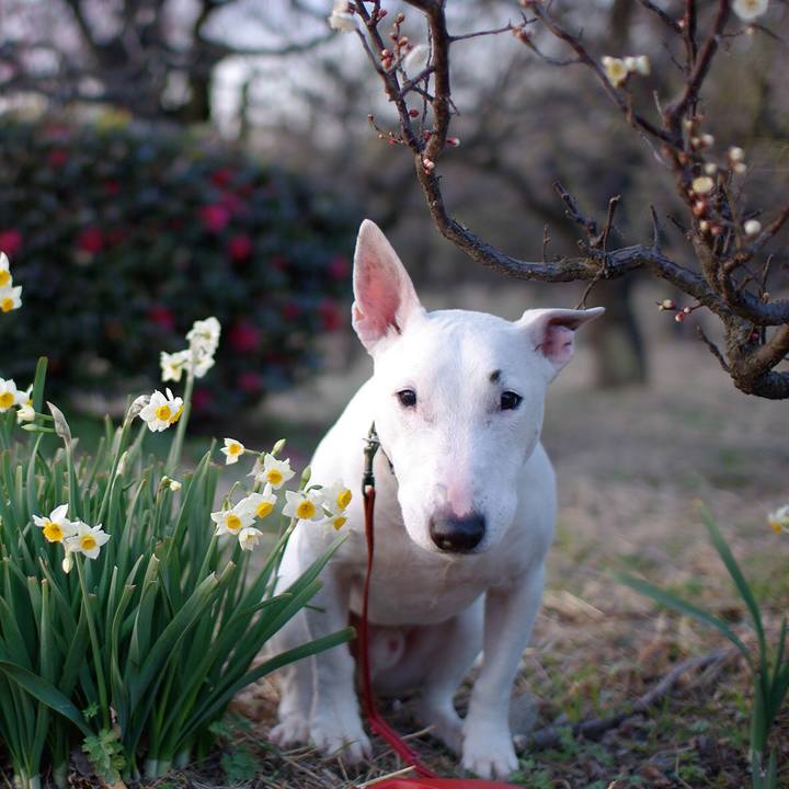 Abe8fa4e ad9f 494b a2be 429952619889