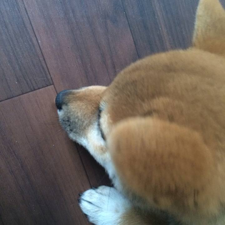 Abe96a1e 523e 45bf 892b 1f7dcf9e082d