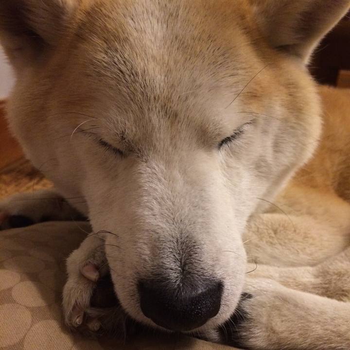 Abe9fa3e cfe7 410d 9e6f 11736d94345e