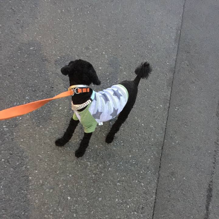 Abea4b06 a44a 48c1 ad91 f1a5ac2d1892