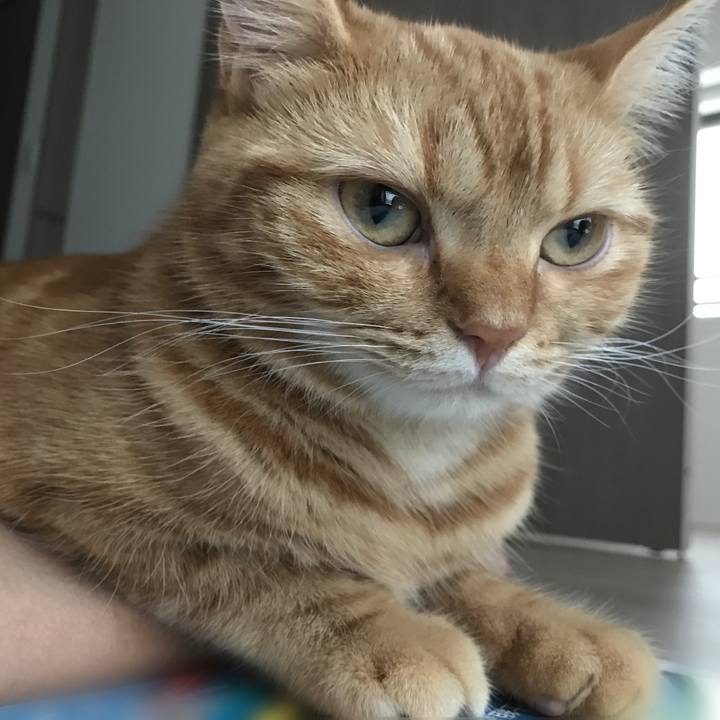 Abea71eb 7d56 40f1 a582 251ff1e07720