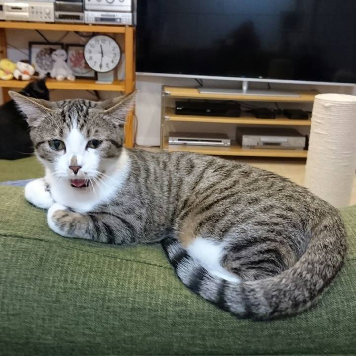 Abeaca4e 919f 4a66 b06e 67d3fb3d3224