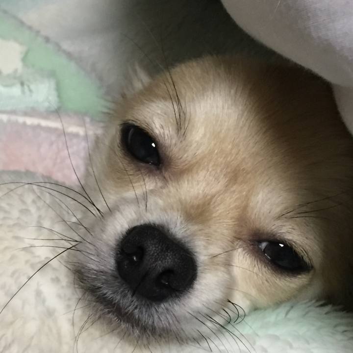 Abeada28 011b 49b5 950c 036e72df8b47