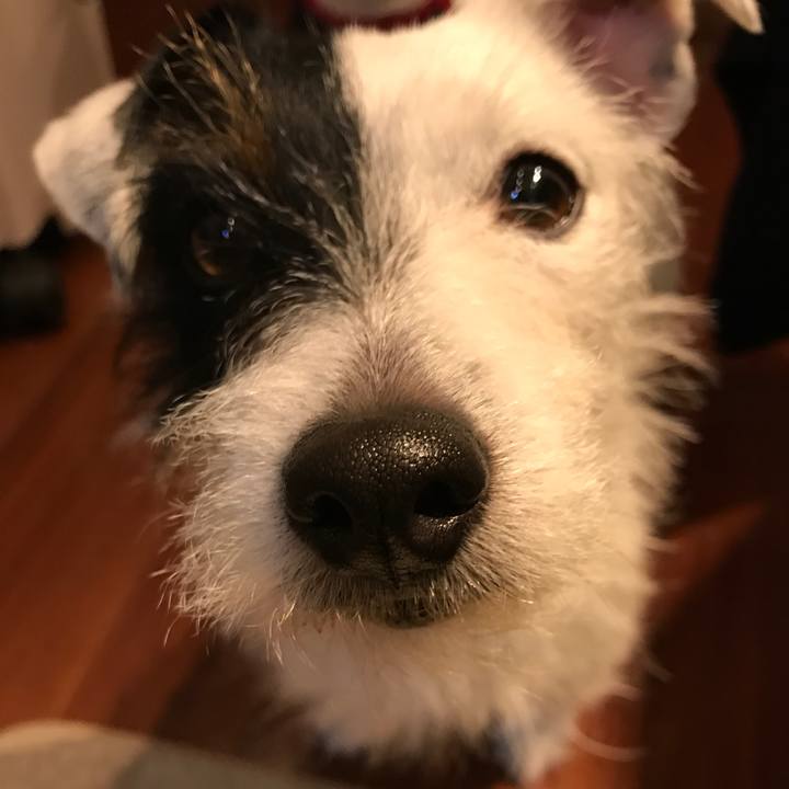 Abed0e08 2444 4136 bfd3 b81c825d0453