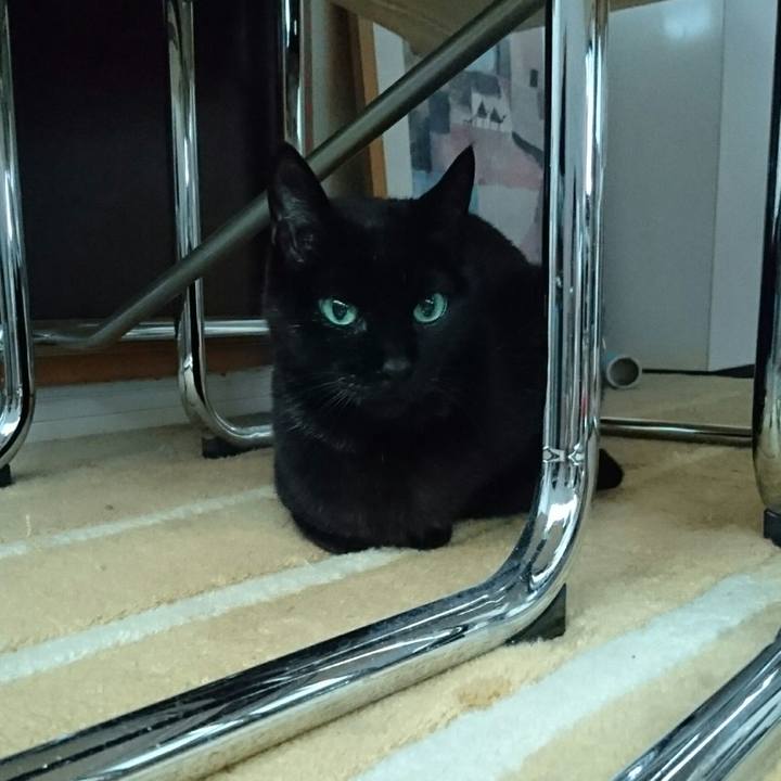 Abed1b30 28a3 4ea2 bdd2 b0dcb7e85518