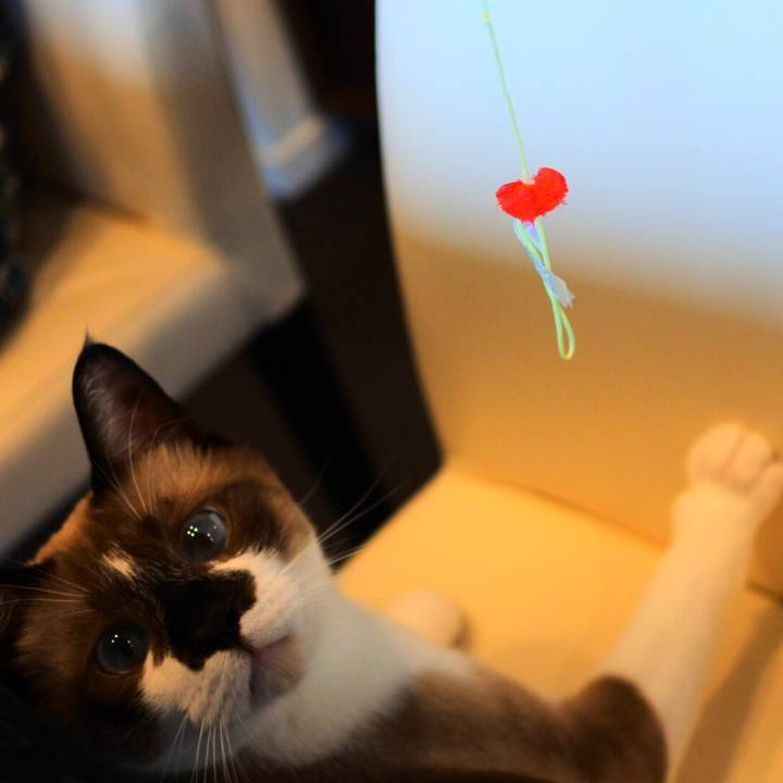 Abed1df6 df66 45a7 be9f b06c81eff595